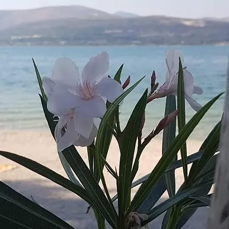 Διαμέρισμα Cosy Corner