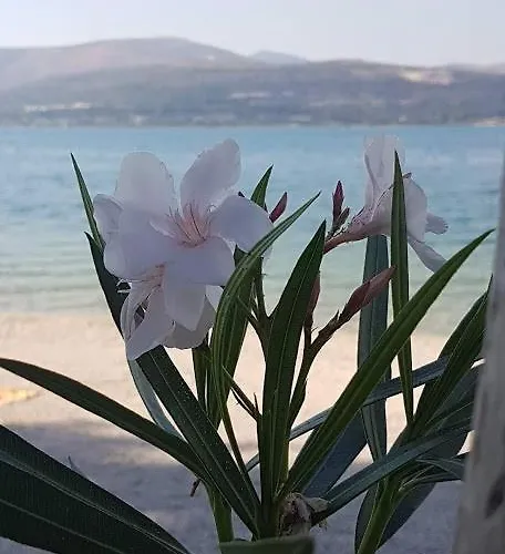 Апартаменты Cosy Corner